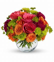 Teleflora's Smile for Me from Swindler and Sons Florists in Wilmington, OH